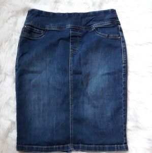 CHRISTOPHER AND BANKS SKIRT